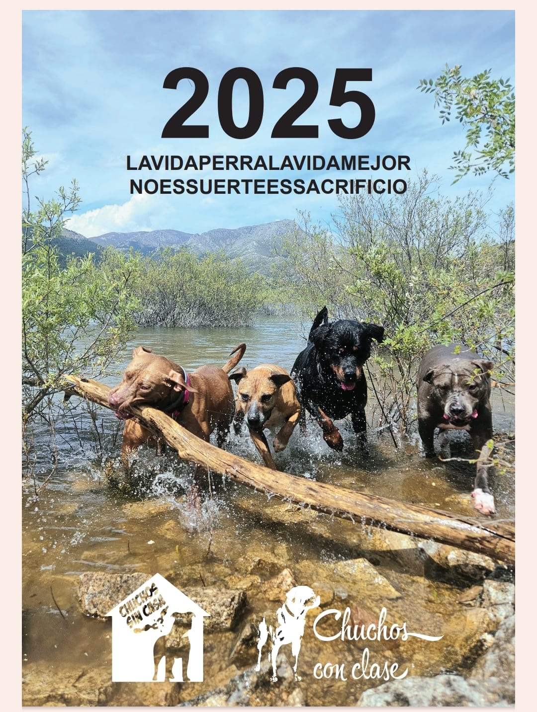 CALENDARIO 2025